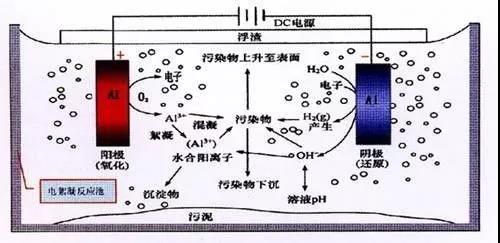 我買了一個(gè)甲醛檢測(cè)儀，吹口氣后發(fā)現(xiàn)原來我才是“地表最強(qiáng)”污染源！