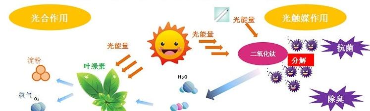 甲醛治理用什么辦法最正確？這三點(diǎn)常見的除甲醛辦法其實(shí)是誤區(qū)