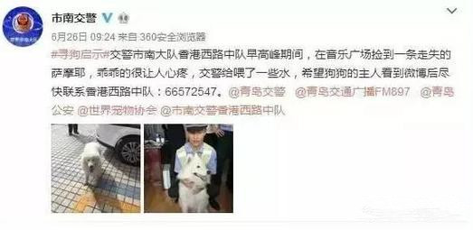 有問(wèn)題找警察，薩摩耶派出所報(bào)案，不注意這件事，對(duì)狗狗致命，警察蜀黍卻幫不上忙！