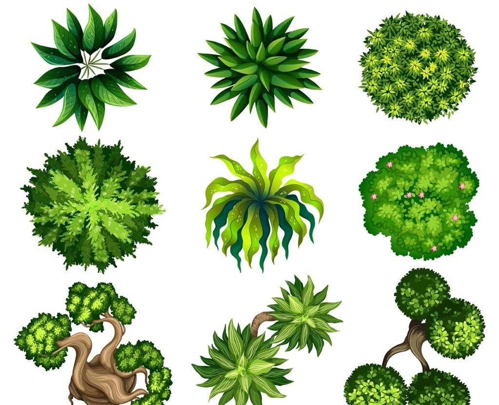 可以凈化室內(nèi)空氣的植物，這二十種您需要好好了解一下！