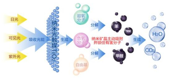 洋蔥可以除甲醛？民間流傳土方法可信嗎？