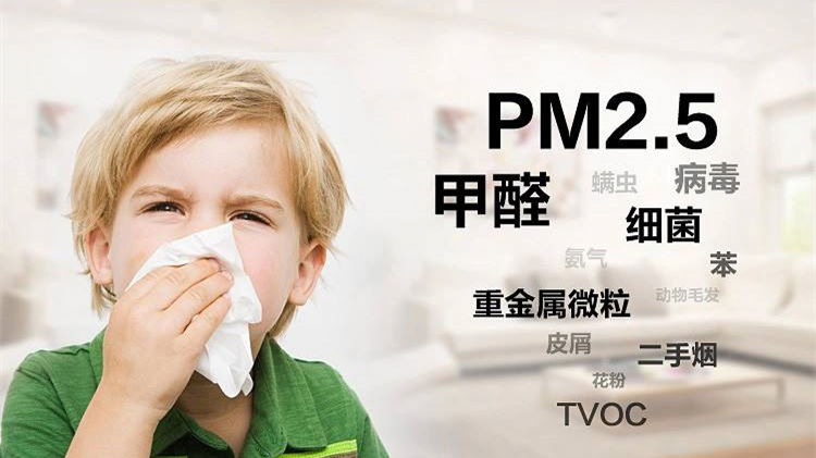 誰說二手車沒有甲醛？汽車除甲醛最有效方法告訴您