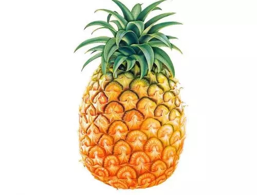 通風(fēng)半年甲醛仍超標(biāo)？甲醛治理要注意