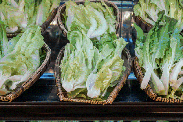 夏至高溫預警！消暑養(yǎng)生秘笈了解一下？
