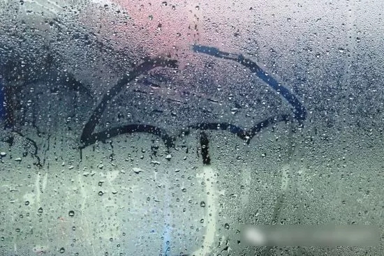 房間潮濕怎么辦！不僅會發(fā)霉還會導致甲醛超標