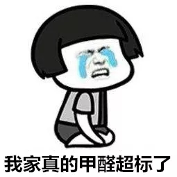 安排上了！高新技術(shù)企業(yè)進(jìn)駐杭城500家小區(qū)，將為您帶來688除醛大禮包