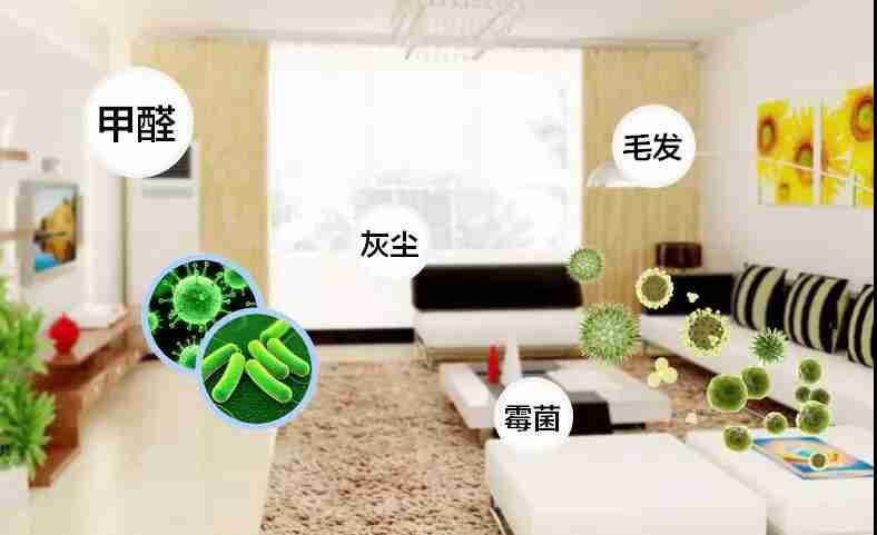 網(wǎng)上的除甲醛好辦法真的有效嗎？原理是什么