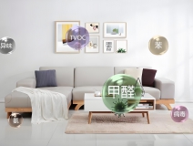 如何選擇除甲醛品牌？品牌優(yōu)勢(shì)與服務(wù)能力解析