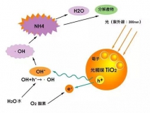 現(xiàn)在光觸媒的價格是多少？
