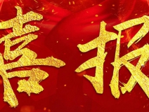 搖一搖除甲醛魔球被評定為省級(jí)工業(yè)新產(chǎn)品（新技術(shù))