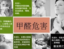 哪些綠植可以除甲醛？