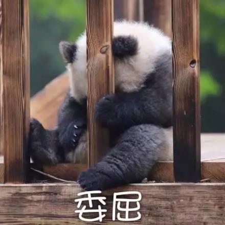 別大意！七大除甲醛“誤區(qū)”，信了你反而會生??！通風(fēng)、綠植、活性炭、熏蒸……你中招了嗎？