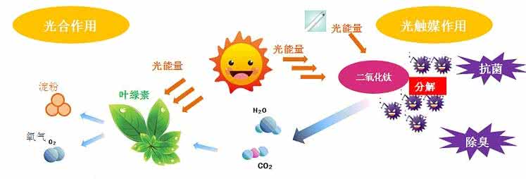 家中甲醛超標(biāo)，什么才是甲醛治理的正確姿勢？